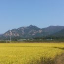 병구농장 이미지