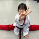 도당태권도장 이미지