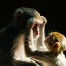 박태림 복싱체육관 이미지