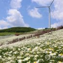 평창군 종합관광안내소 이미지