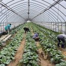 괴산군농업기술센터 이미지