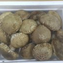 지민이네 농장 이미지