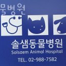 솔샘 동물병원 이미지