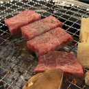 나마 | 오사카 야키니쿠 가성비 맛집 나마 호르몬 이타다키 난바 후기(카드결제가능)