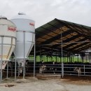 새경기목장 이미지