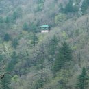 노추산 Daum카페