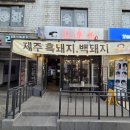 백돼지
