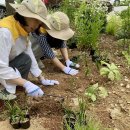 동서공원 이미지