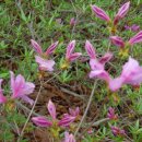 학산목장 이미지