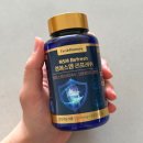 MSM | 프리미엄 OPTIMSM MSM 관절MSM 후기 육아맘 무릎 허리 뻐근함 관리 시작