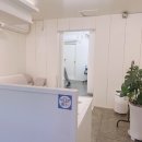 반하프 | 대구속눈썹잘하는곳, 대구속눈썹잘하는곳추천 "반하프" 속눈썹연장후기
