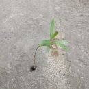 기아직원자동차정비소 이미지