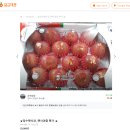 은석농장 이미지