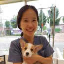 웰빙동물병원 이미지