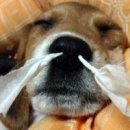 미래의원 이미지