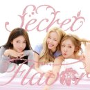 시크릿(SECRET)
