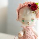 리틀램(little lamb)