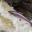 비타민 골프 앤 휘트니스 이미지