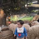 벅스(주) | 인천 실내 아이들과 가볼만한곳 추천, 인천 실내동물원 쥬벅스 15개월 아기 방문후기