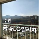 LG빌리지 1단지(아) | 수원 금곡LG빌리지 아파트 겨울철 유리창 청소 후기