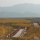 배나무민박 이미지