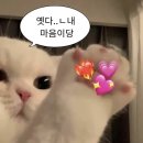 우직서울