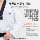 용인대 튼튼 태권도 이미지