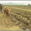 대농농기계 이미지