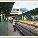 명서다리 앞 버스정류소 이미지