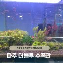 써니힐스 | 파주 수족관 더블루 물고기 분양 후기