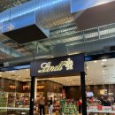 브리즈번 101 이미지