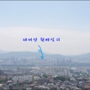 베일리리딩
