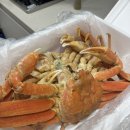 대게타운 | 포항 죽도시장 박달대게 포장구매 김천회타운 대구 김천석호네 내돈내산 후기