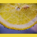 세탁을함께하는사람들 이미지