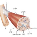 제이엠 휘트니스 이미지