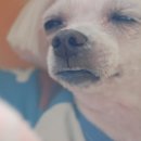 바른이치과 이미지