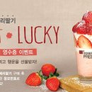 요거프레소 일간스포츠