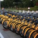 스테이 선명 네이버블로그