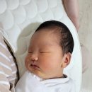 모스트 산후조리원 이미지