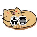 속초할머니횟집 이미지