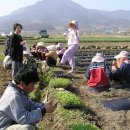 적상면011 이미지