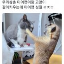 단또 이미지