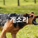인 이미지