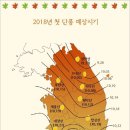 2018년 단풍정보 이미지