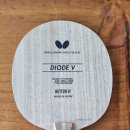 수비전형 라켓(DIODE V) 팝니다. 이미지