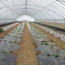 입석농장 이미지