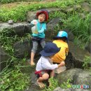 미도유치원 이미지