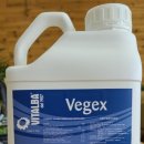 농민농약사 | 🌱 성주 참외 모종, 뿌리 활력의 비밀! 아트라텍 비젝스로 튼튼하게 키우는 법!