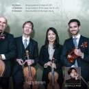 슈투트가르트 페가소스 스트링 콰르텟 이미지