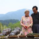 굴구지정원 이미지